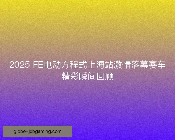 2025 FE电动方程式上海站激情落幕赛车精彩瞬间回顾